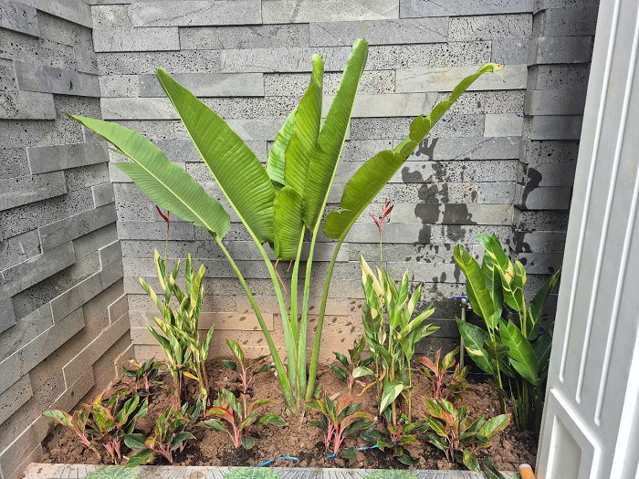 Bán Nhà Độc Lập 3.5 Tầng – Vị Trí Đẹp Tại Phạm Hữu Điều, Trần Nguyên Hãn, Lê Chân, Hải Phòng.